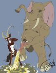  animals antlers balls cervine elephant gay hairy hooves horn invalid_tag male mammal nipples peeing penis plain_background reindeer rimpala sheath size_difference splash standing stomach trunk tusks urine watersports 