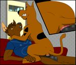  anal anal_penetration animated anthro anthro_on_feral balls bed bestiality canine clothing cowgirl_position dog duo ear_piercing erection eyes_closed feral gay interspecies loop male mammal nude on_top penetration penis piercing scooby-doo scooby-doo_(series) sex shirt sitting straddling vein wildwulf wolf 