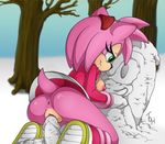  amy_rose anthro anus breasts butt clothing erection female green_eyes hair hedgehog mammal nipples outside penis pink_hair pussy sega smile snow solo sonic_(series) the_other_half tree 