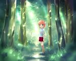  alternate_eye_color aqua_eyes bad_id bad_pixiv_id child elfen_lied forest grass horns lucy nature pink_hair shirt short_hair skirt solo standing sunlight t-shirt tree yayoi_(pipi) younger 