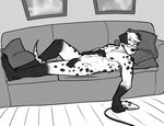  black_and_white dalmatian dog eyewear glasses greyscale lady_snakebite male mammal monochrome nipples nude penis sleeping sofa solo 