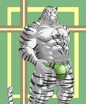  abs anthro biceps big_muscles black_fur body_markings bulge clothed clothing feline fur half-dressed male mammal markings muscles nipples pecs pose reclamon solo speedo standing stripes swimsuit tiger topless underwear white_fur white_tiger yellow_eyes 