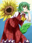  adjusting_hair ascot bad_id bad_pixiv_id flower green_hair kazami_yuuka leaning_forward light_smile plaid plaid_skirt plaid_vest red_eyes shibasaki_shouji short_hair skirt skirt_set slit_pupils solo sunflower touhou vest 