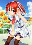  amanatsu ayase_mao blue_eyes flower ginta highres ponytail red_hair school_uniform solo thighhighs 