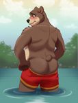  back back_turned bear black_nose blush brown_fur butt chubby clothing cloud embarrassed fur furrybob green_eyes grizzly_bear lake looking_at_viewer looking_back male mammal outside pants pants_down pants_pull presenting presenting_hindquarters shorts sky solo standing swimming teenage teenager topless water young 