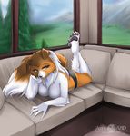  abluedeer anthro breasts brown_fur canine clothed clothing dog female fur green_eyes half-dressed hindpaw legs_up lying mammal on_front panties pawpads paws pinup plantigrade pose rough_collie skimpy soles solo toes topless underwear white_fur 