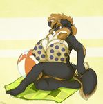  abstract_background anthro beach big_breasts border_collie bottle bottomless bra breasts canine clothed clothing dog eyewear female glasses grostenmeiers half-dressed huge_breasts hyper hyper_breasts looking_at_viewer mammal seaside sheltie sitting solo underwear 