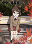  :d autumn bench blush bow brown_eyes brown_hair from_above glasses hair_bow highres houmitsu leaf long_hair looking_up open_mouth original ponytail school_uniform sitting skirt smile solo sweater 