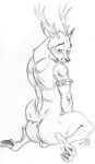  anthro antlers anus armband back back_turned balls bell bells butt cervine deer dragondrawer greyscale hooves horn kneeling looking_at_viewer looking_back male mammal monochrome plain_background pose sitting solo white_background 