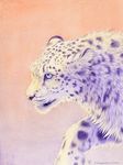  ambiguous_gender blue_eyes feline leopard mammal realistic shinigamigirl simple_background snow_leopard solo whiskers 