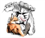  canine dog dragondrawer duo erection fox gay licking licking_lips looking_at_viewer lying male mammal oral penis tongue 