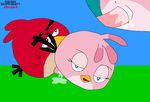  angry_birds pink_bird red_bird segashaheenafterdark tagme 