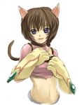  .hack//g.u. .hack//roots 1girl animal_ears artist_request brown_hair cat_ears cat_paws happy lowres midriff navel paws purple_eyes smile solo tabby_(.hack//) 