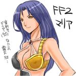  breasts character_name cleavage copyright_name final_fantasy final_fantasy_ii large_breasts long_hair lowres maria_(ff2) oonishi_koala purple_hair solo translation_request white_background yellow_eyes 