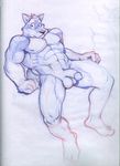  abs anthro balls biceps blue_fur canine flaccid fur looking_at_viewer lying male mammal muscles nipples nude on_back pecs penis poop_(artist) pose sitting sketch solo wolf 