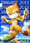  bbmbbf marine_the_raccoon palcomix sonic_team tagme 