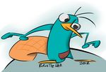  perry_the_platypus phineas_and_ferb tagme 