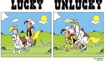  jolly_jumper lucky_luke tagme 