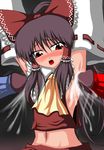  reimu_hakurei tagme touhou 