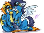  friendship_is_magic my_little_pony soarin spitfire tagme 