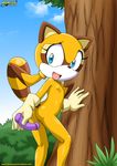  butt dildo female hedgehog invalid_tag mammal marine_the_raccoon nipples open_mouth palcomix pussy raccoon sega sex_toy sonic_(series) sonic_the_hedgehog 