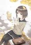  :o ataru_(ataru_squall) bag bench black_legwear blush book brown_eyes brown_hair dog ginkgo glasses leaf leaf_on_head original pantyhose pleated_skirt reading school_bag school_uniform serafuku short_hair sitting skirt solo 