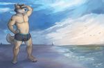  boxer_briefs boxerbriefs bulge canine cherrybox chubby cloud clouds dog hair husky male mammal muscles sand sea seaside solo underwear water 