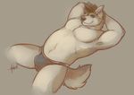  arms_behind_head belly briefs bulge canine chubby hushhusky looking_at_viewer male mammal muscles pecs smirk solo underwear wolf 