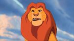  disney fail feline feral lion male mammal mandrill mufasa oops rafiki simba the_lion_king 