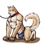  abs biceps blush bulge canine clothed clothing collar dog half-dressed istani leash male mammal muscles nipples pecs solo speedo swimsuit topless underwear unknown_artist 