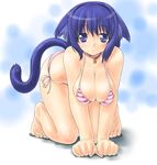  :&lt; all_fours animal_ears barefoot bell bell_collar bikini blue_eyes blue_hair breast_squeeze breasts cat_ears cat_tail cleavage collar copyright_request dd_(ijigendd) large_breasts short_hair side-tie_bikini solo striped striped_bikini swimsuit tail 