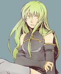  bad_id bad_pixiv_id bangs c.c. code_geass green_hair long_hair solo tame yellow_eyes 