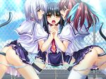  3girls anal anal_insertion anal_object_insertion black_hair blue_eyes blush butt_plug buttplug buttplug_tail game_cg goshujinsama_daisuki kuu_spitfire long_hair multiple_girls murakumo_sakura object_insertion open_mouth panties peeing red_eyes red_hair school_uniform shishiouin_hime silver_hair skirt tail uncensored underwear yellow_eyes 