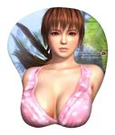  3d breast_mousepad breasts dead_or_alive dead_or_alive_5 kasumi kasumi_(doa) large_breasts mousepad tecmo 