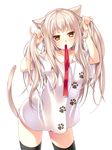  animal_ears black_legwear bunching_hair cat_ears cat_tail cocoa_(cafe-hotcocoa) long_hair mouth_hold naked_shirt original paw_print shirt silver_hair simple_background solo tail thighhighs two_side_up white_background yellow_eyes 
