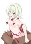  aisoretto box breasts elf eyelashes female goblin_slayer green_eyes hair hair_ribbon high_elf_archer humanoid in_box nipples not_furry nude open_mouth pointy_ears ribbons solo 