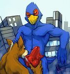  anthro avian back ball_fondling balls beak biceps blue_feathers boulevard brown_fur building bulge canine city clothed clothing duo erection eyes_closed falco_lombardi fellatio fox fox_mccloud fur gay half-dressed hand_on_head humanoid_penis interspecies licking macro male mammal muscles nintendo oral oral_sex pecs penis red_feathers saliva sex smile speedo star_fox swimsuit tongue tongue_out topless underwear video_games 