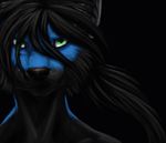  black black_fur black_hair black_nose blue blue_fur canine female fur green_eyes hair invalid_color limizuki mammal simple_background wolf 