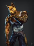  amazing anthro belt biceps blood blue_eyes brown_fur canine cgi clothing dirt dog fur jeans male mammal muscles nick300 pants pecs pose shirt solo standing tank_top tattoo vest wolf 