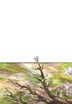  comic from_above jizeru_(giselebon) no_humans plant sketch spring_(season) touhou tree tree_branch 