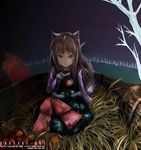  animal_ears apple brown_hair food fruit holo kneeling liki long_hair red_eyes solo spice_and_wolf wheat 