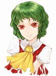  ascot green_hair kazami_yuuka plaid plaid_vest red_eyes short_hair smile solo touhou upper_body vest xero 