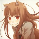  animal_ears ayakura_juu brown_hair highres holo long_hair red_eyes reflection solo spice_and_wolf tail wolf_ears 