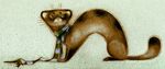 ambiguous_gender feral ferret heterochromia mammal mustelid scarf skia solo 