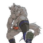  canine erection gamma-g looking_at_viewer male mammal masturbation muscles nipples penis shoes solo whiskers wolf 