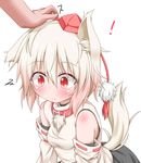 1girl animal_ears bare_shoulders blush collar detached_sleeves hand_on_another's_head hat hat_ribbon hetero inubashiri_momiji oden_(th-inaba) red_eyes ribbon silver_hair slit_pupils tail tokin_hat touhou wolf_ears wolf_tail 