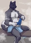  biceps black_fur black_nose boulevard bulge canine clothed clothing dog eyes_closed fur grey_fur half-dressed male mammal muscles pecs sauna solo steam topless towel vpl white_fur wolf 