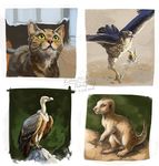  avian brown_feathers brown_fur cat claws cute feline feral frown fur green_eyes griffon_vulture happy mammal meerkat nature nude peregrine_falcon realistic rotarr smile sofa vulture white_feahters white_feathers white_fur 