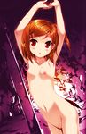  armpits arms_up blush brown_hair flat_chest hair_ornament hairclip hentai_ouji_to_warawanai_neko navel nipples nude photoshop red_eyes short_hair side_ponytail tsutsukakushi_tsukiko 