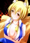  animal_ears bow breasts cleavage cosplay daiyousei daiyousei_(cosplay) dress fox_ears fox_tail hair_bow large_breasts merry_(diameri) multiple_tails naughty_face no_hat no_headwear open_clothes short_hair smile smug solo tail touhou yakumo_ran yellow_eyes 